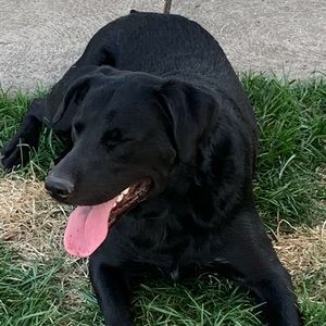 Meet your Posher, Jodi